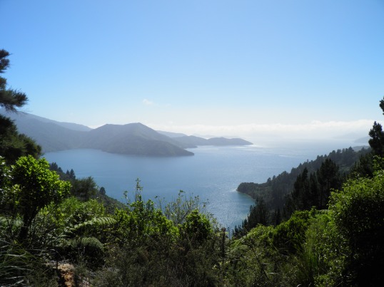 Looking out towards a hazy Queen Charlotte Sound